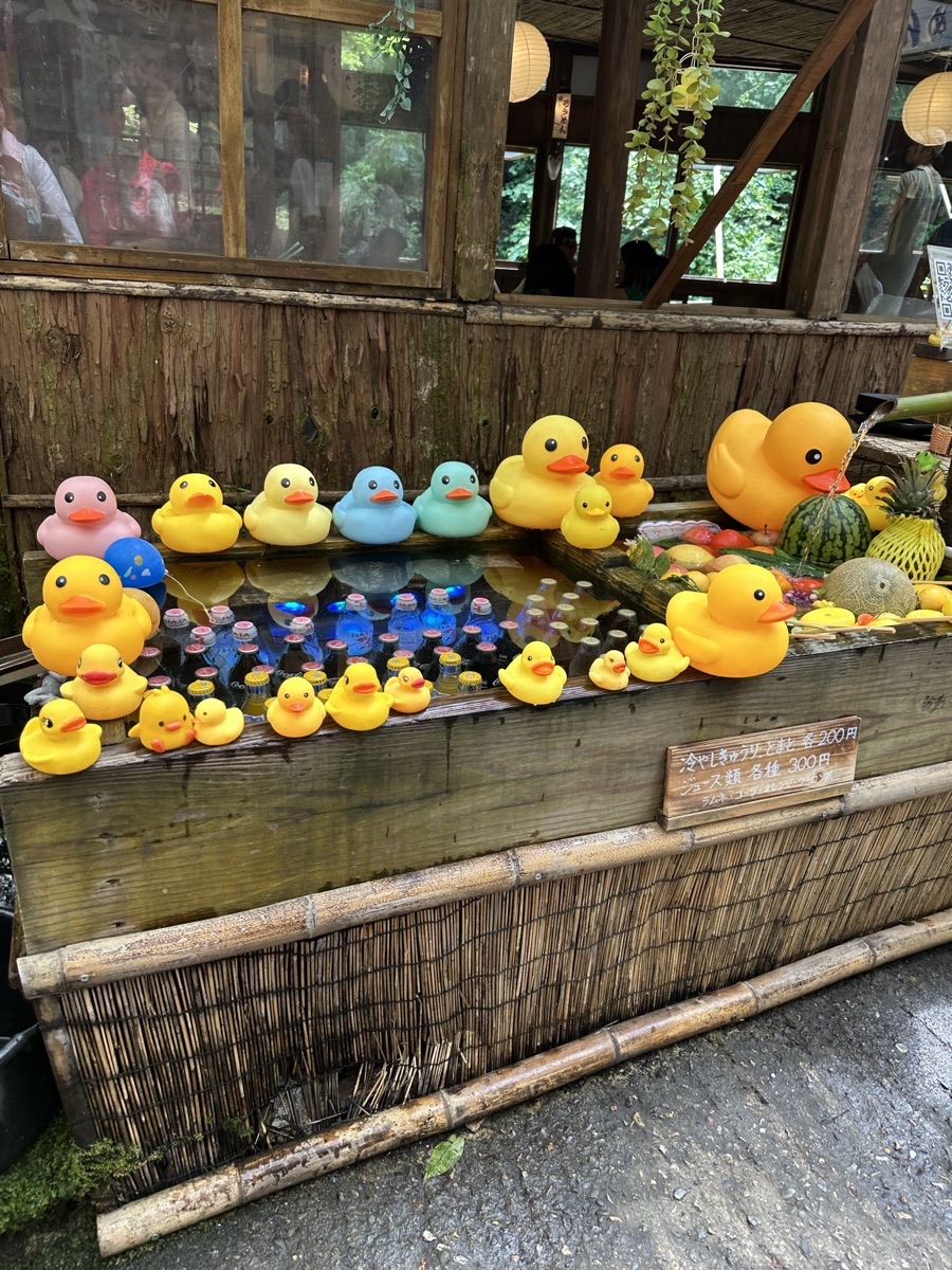 Rubber ducks and chilled drinks in a water trough at a riverside teahouse